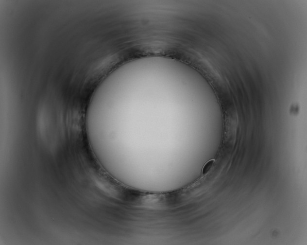 X0000100850126200807070942