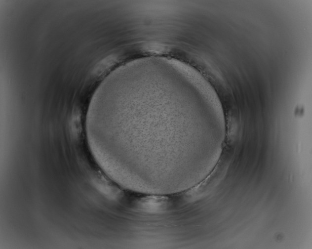 X0000100850128200807070942