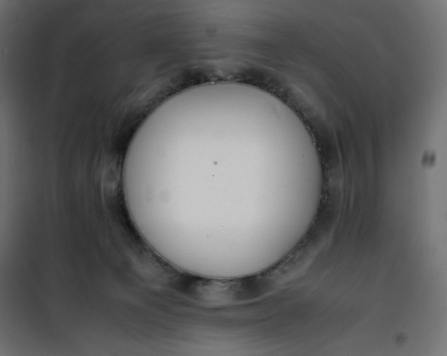 X0000100850129200807070942