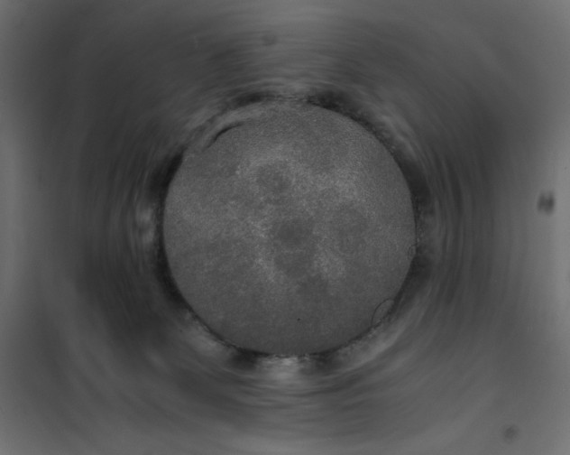 X0000100850131200807070942