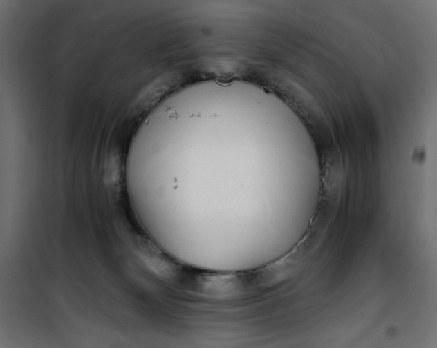 X0000100850132200807070942