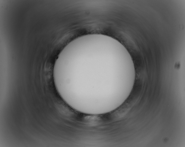 X0000100850133200807070942