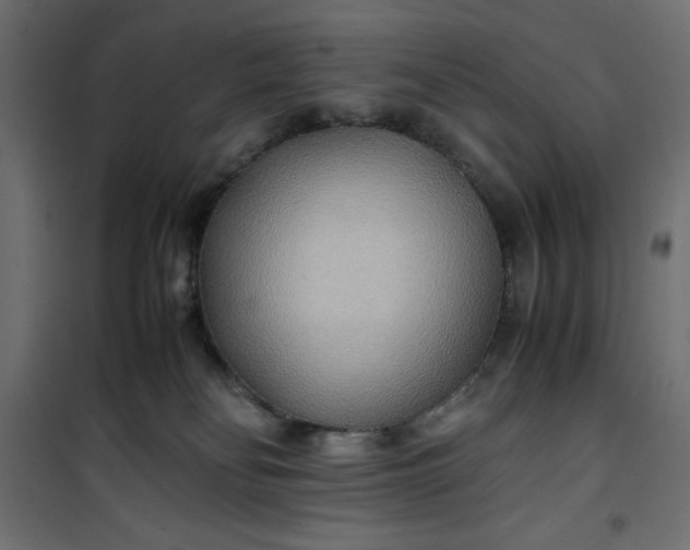 X0000100850134200807070942