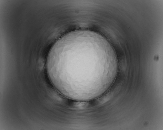 X0000100850135200807070942