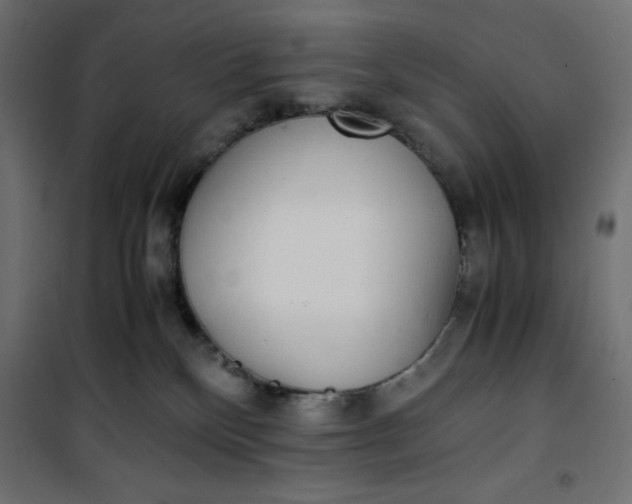 X0000100850136200807070942