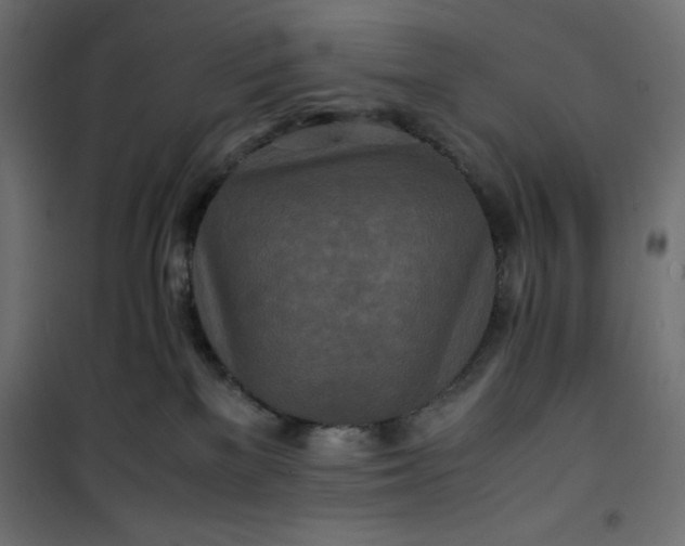 X0000100850137200807070942