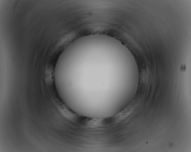 X0000100850138200807070942