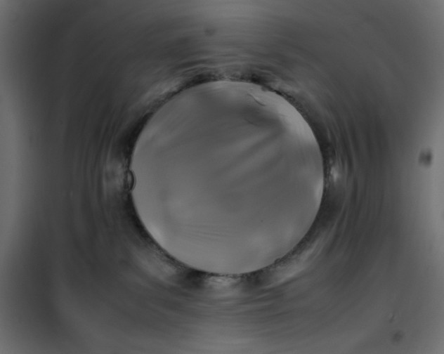 X0000100850139200807070942