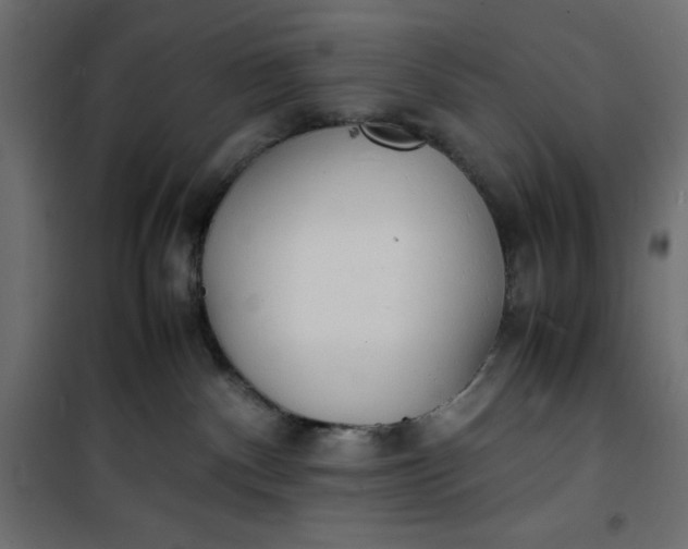 X0000100850140200807070942