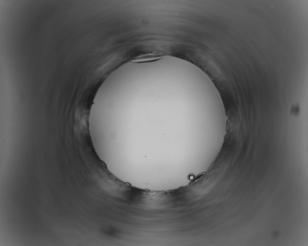 X0000100850141200807070942