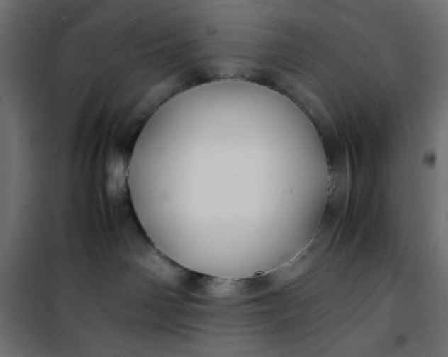 X0000100850142200807070942