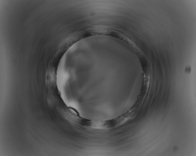 X0000100850143200807070942