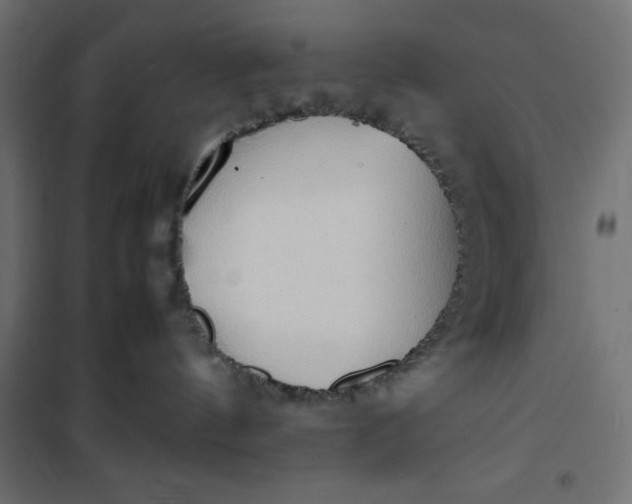 X0000100850144200807070942