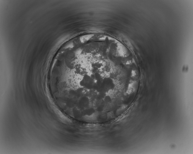 X0000100850145200807070941