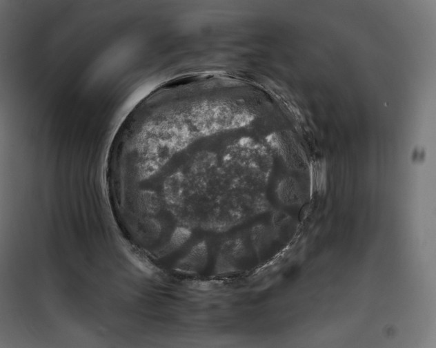 X0000100850147200807070941