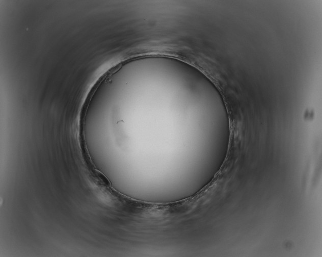 X0000100850148200807070941