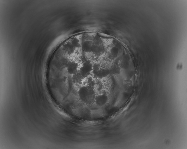 X0000100850149200807070941