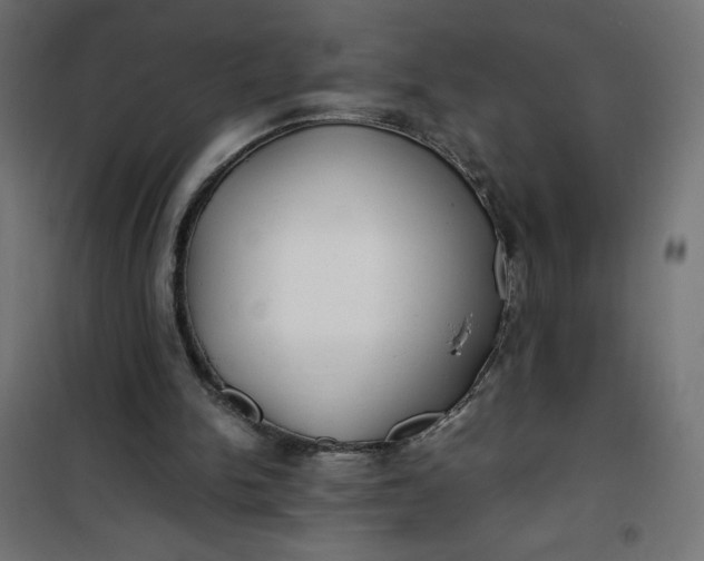 X0000100850150200807070941