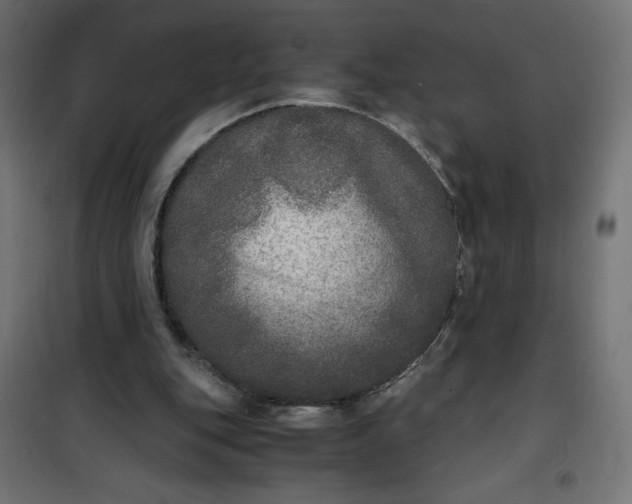 X0000100850151200807070941