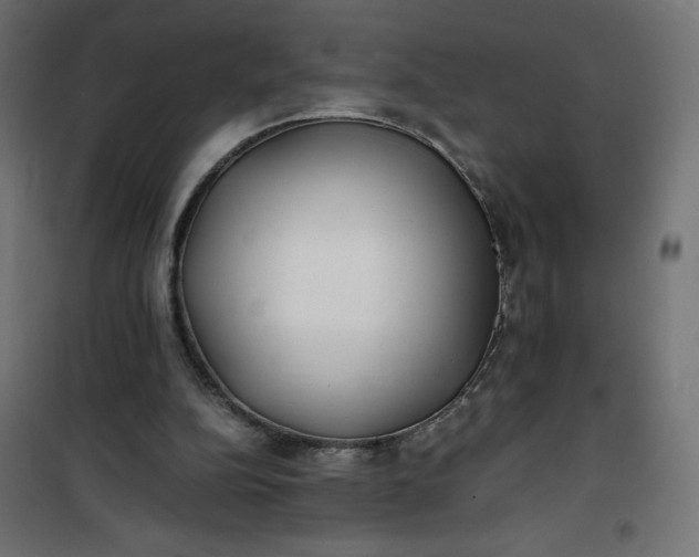 X0000100850152200807070941