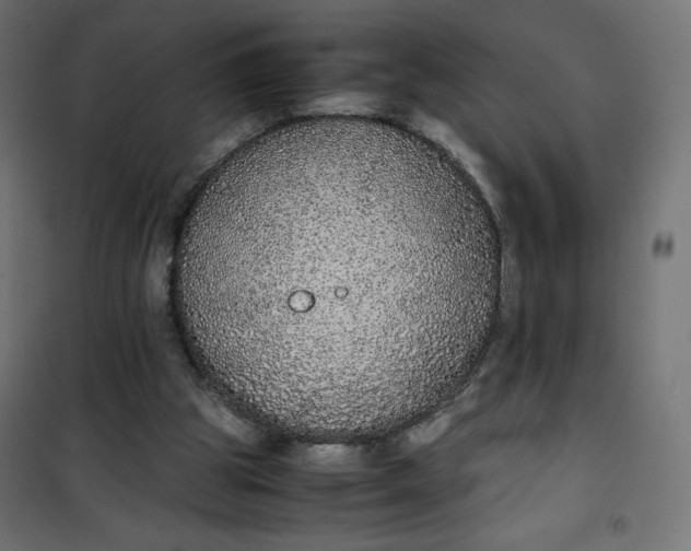 X0000100850153200807070941