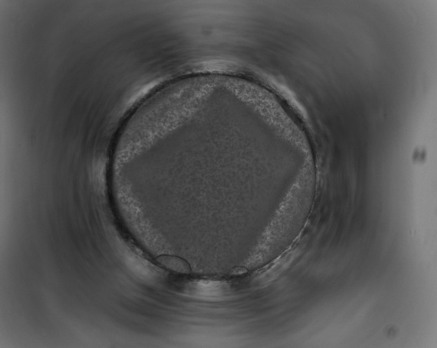 X0000100850154200807070941