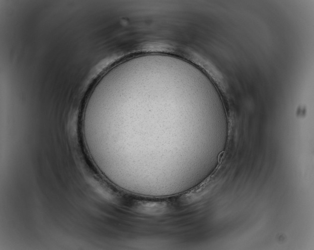 X0000100850155200807070941