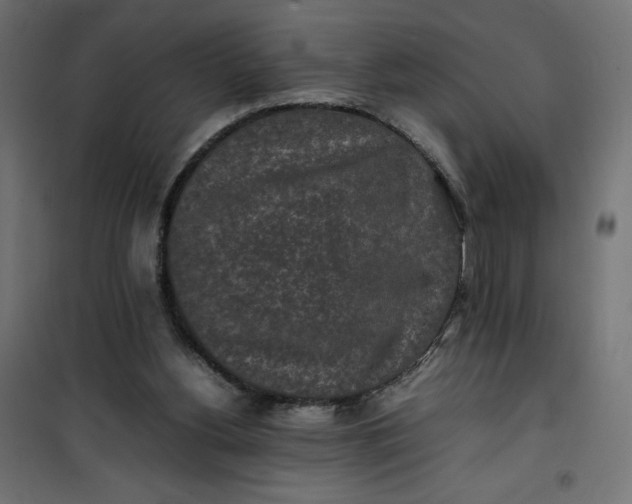 X0000100850156200807070941