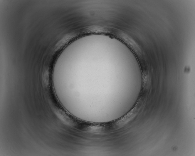 X0000100850158200807070941