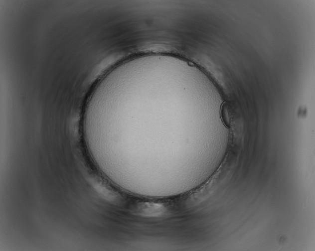 X0000100850159200807070941