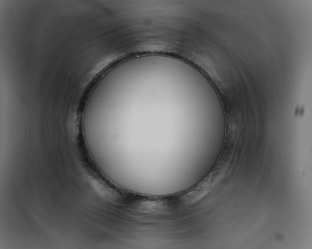 X0000100850160200807070941