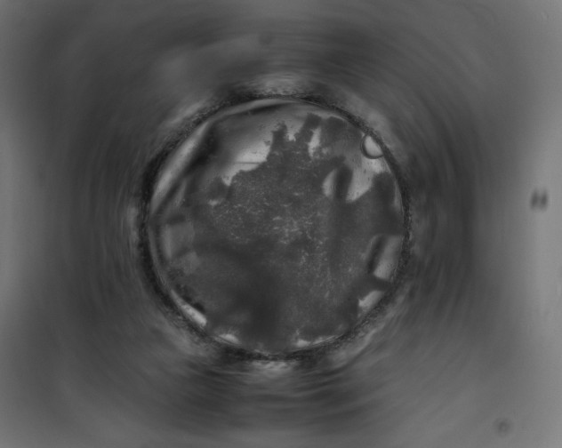 X0000100850161200807070942