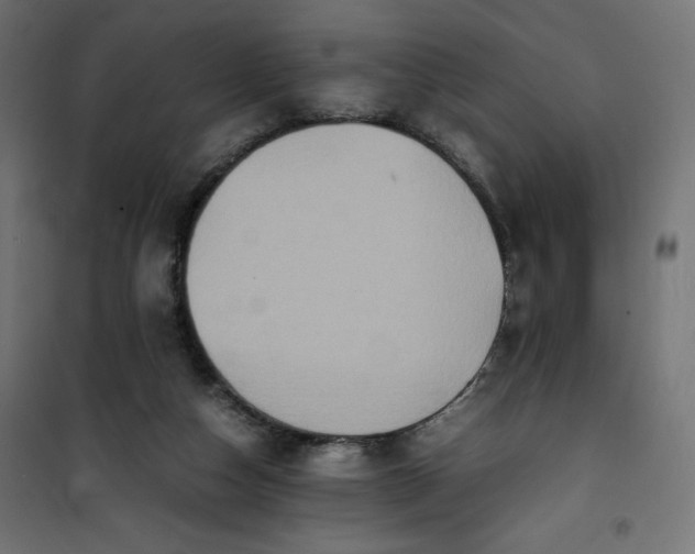 X0000100850162200807070942