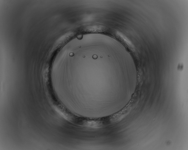 X0000100850163200807070942