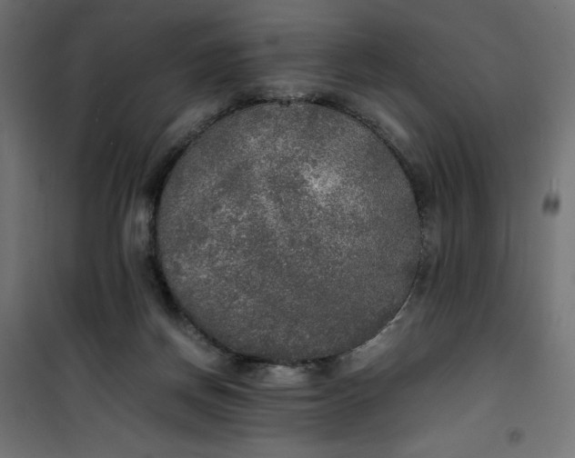 X0000100850166200807070942