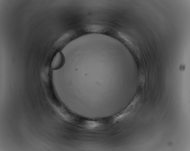 X0000100850167200807070942