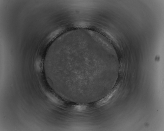 X0000100850168200807070942