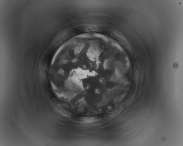 X0000100850169200807070942