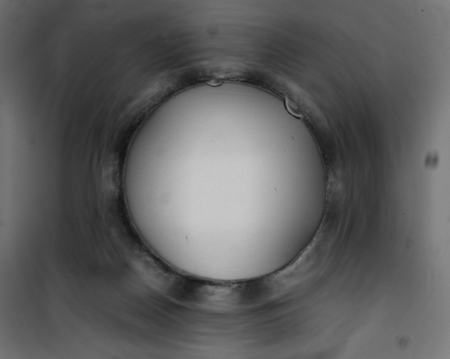 X0000100850170200807070942