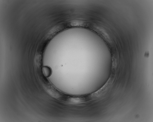 X0000100850171200807070942