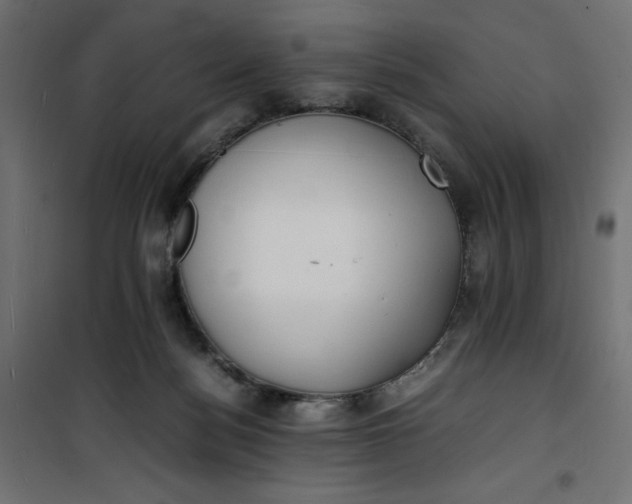 X0000100850172200807070942