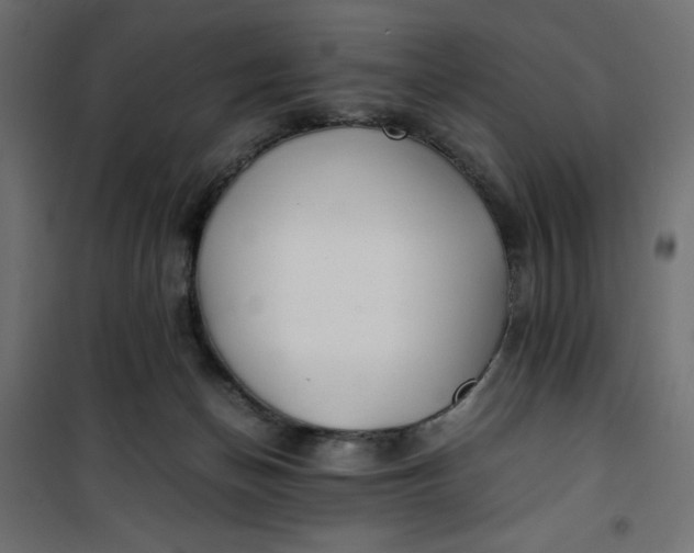 X0000100850174200807070942