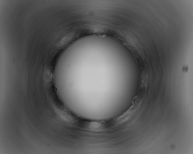 X0000100850176200807070942