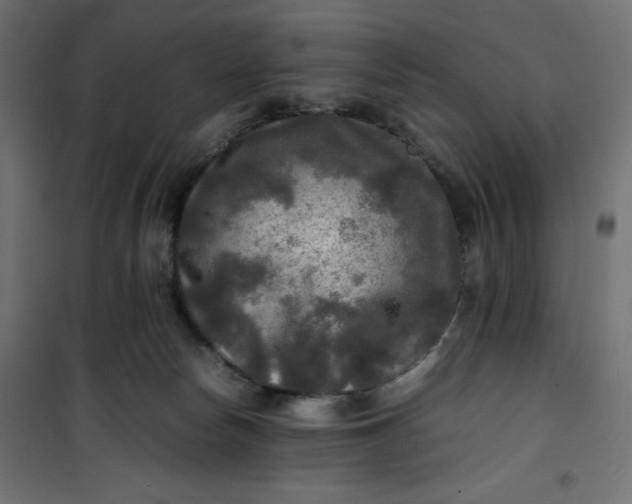 X0000100850178200807070942