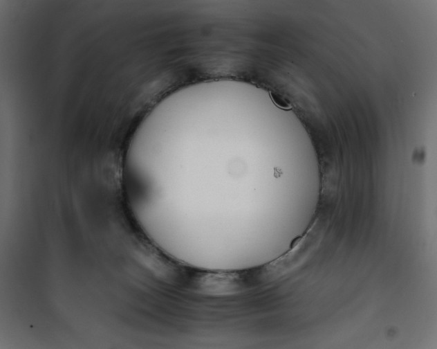 X0000100850179200807070942