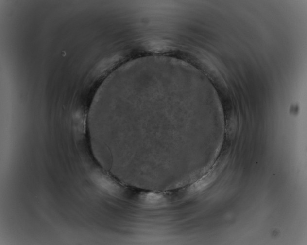 X0000100850180200807070942