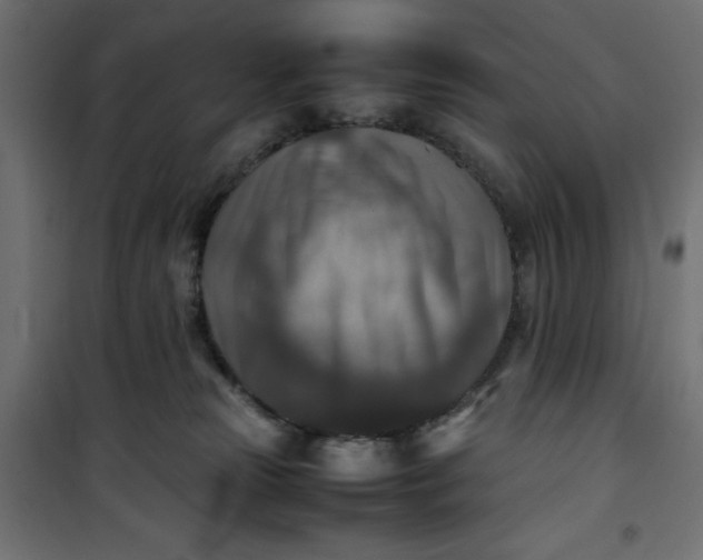 X0000100850181200807070942