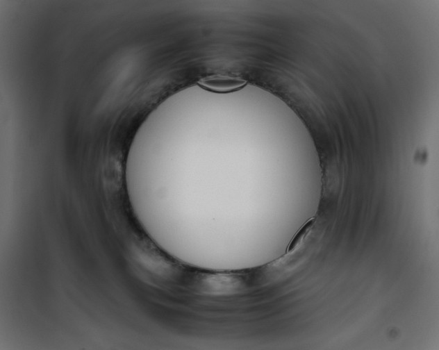 X0000100850183200807070942