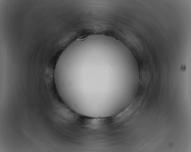 X0000100850184200807070942