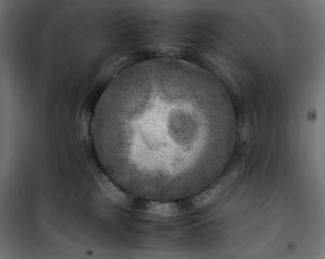 X0000100850185200807070942